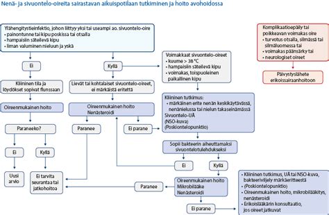 Sivuontelotulehdus (poskiontelotulehdus ja otsaontelotulehdus)